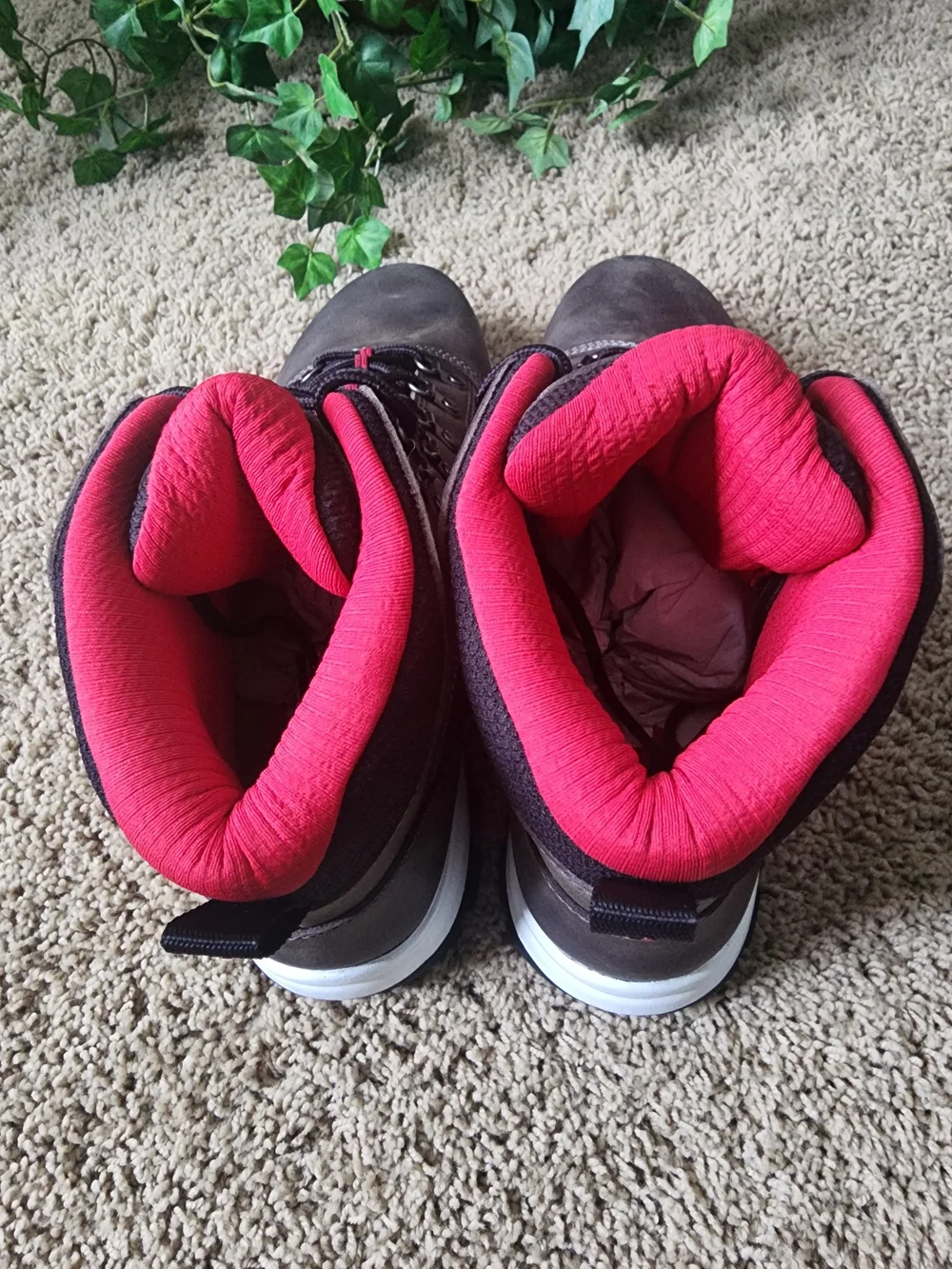 Rocky Brown and Red Men's Hiking Boots